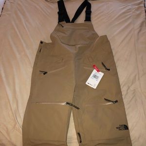 the north face ceptor bib pant